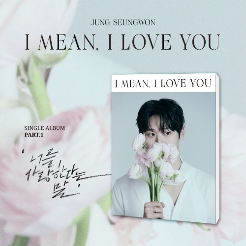 JUNG SEUNGWON - (I mean I love you) PART. 1